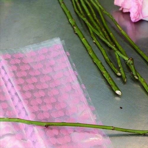 PLA Transparent Film